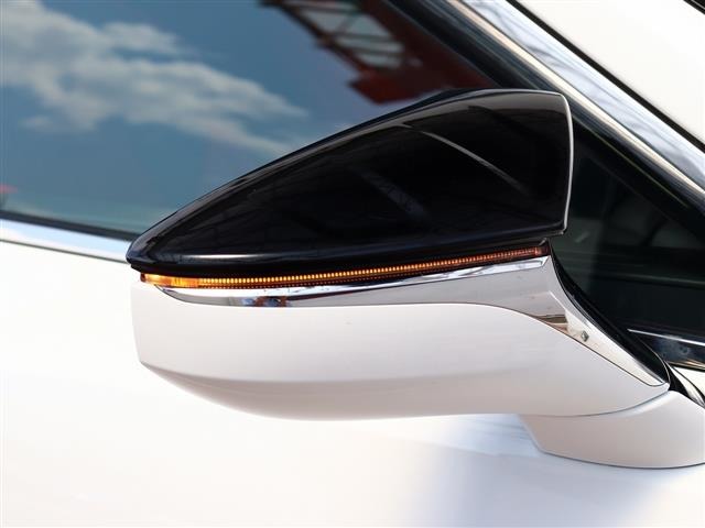 レクサス ＥＳ３００ｈ Ｆスポーツ R2年 (関東) 99