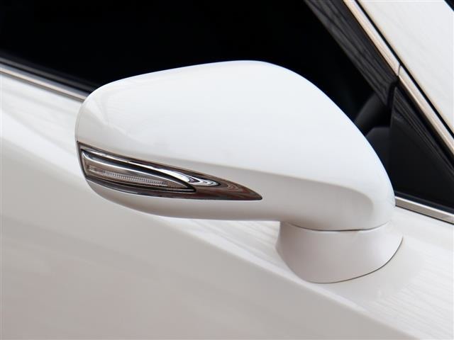 レクサス ＩＳ２５０ Ｆスポーツ H22年 (関東) 99