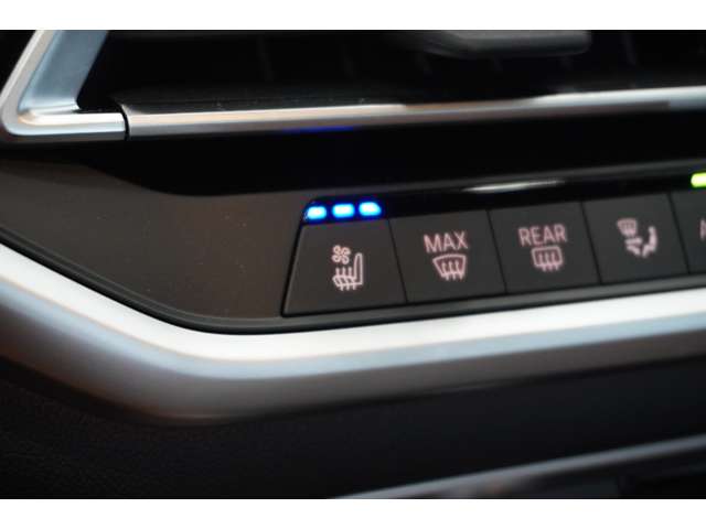 ＢＭＷ Ｘ６ Ｘドライブ３５Ｄ Ｍスポーツ ディーゼルターボ ４ＷＤ R5年 (近畿) 99