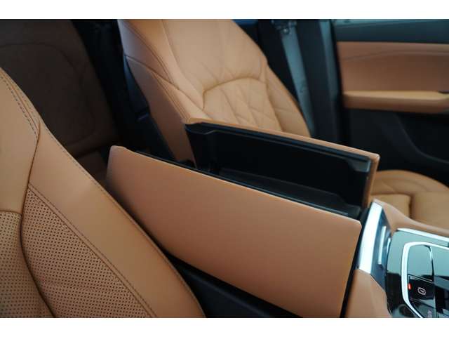 ＢＭＷ Ｘ６ Ｘドライブ３５Ｄ Ｍスポーツ ディーゼルターボ ４ＷＤ R5年 (近畿) 99