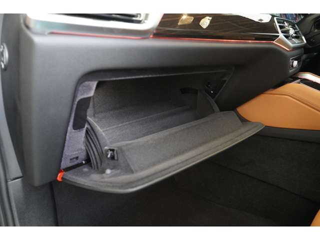 ＢＭＷ Ｘ６ Ｘドライブ３５Ｄ Ｍスポーツ ディーゼルターボ ４ＷＤ R5年 (近畿) 99