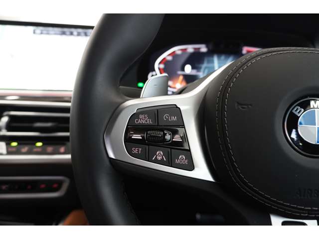 ＢＭＷ Ｘ６ Ｘドライブ３５Ｄ Ｍスポーツ ディーゼルターボ ４ＷＤ R5年 (近畿) 99