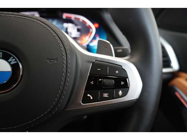 ＢＭＷ Ｘ６ Ｘドライブ３５Ｄ Ｍスポーツ ディーゼルターボ ４ＷＤ R5年 (近畿) 99