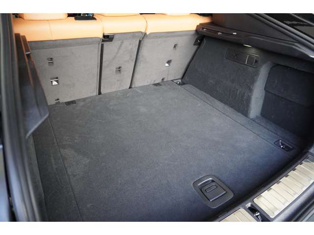 ＢＭＷ Ｘ６ Ｘドライブ３５Ｄ Ｍスポーツ ディーゼルターボ ４ＷＤ R5年 (近畿) 99