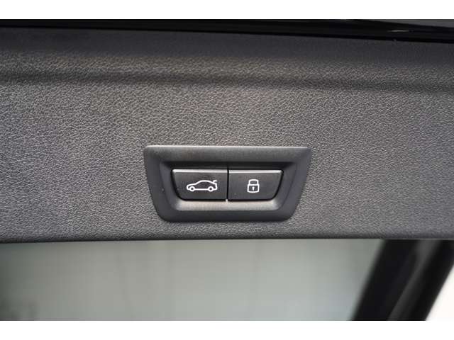 ＢＭＷ Ｘ６ Ｘドライブ３５Ｄ Ｍスポーツ ディーゼルターボ ４ＷＤ R5年 (近畿) 99