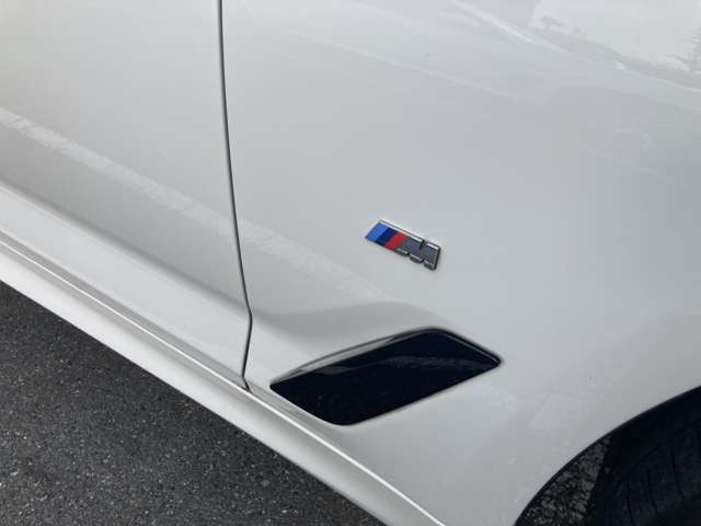 ＢＭＷ ５シリーズ ５２３Ｄ Ｘドライブ Ｍスポーツ ディーゼルターボ ４ＷＤ R3年 (近畿) 99