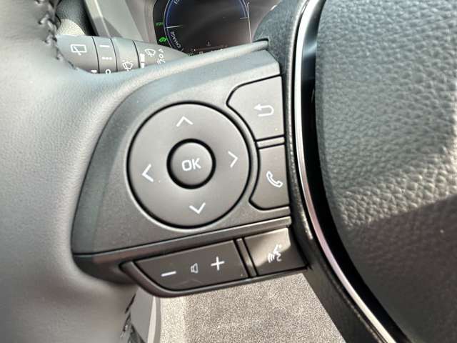 トヨタ ＲＡＶ４ ２．５ ハイブリッド アドベンチャー オフロード パッケージＩＩ Ｅ－ＦＯＵＲ ４ＷＤ R6年 (九州・沖縄) 99