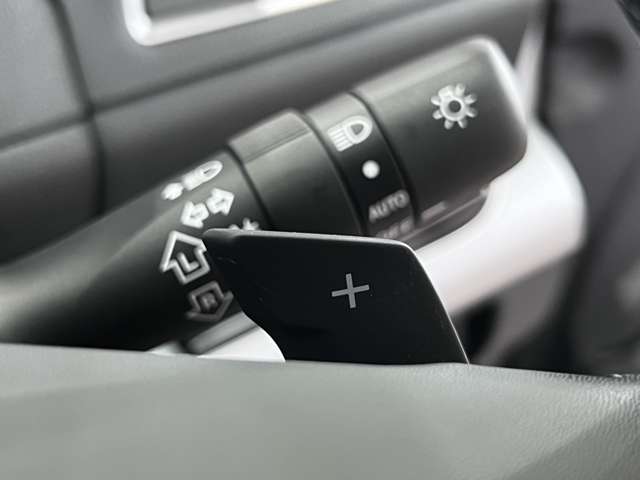 スバル レガシィＢ４ ２．５ リミテッド ４ＷＤ H28年 (関東) 99