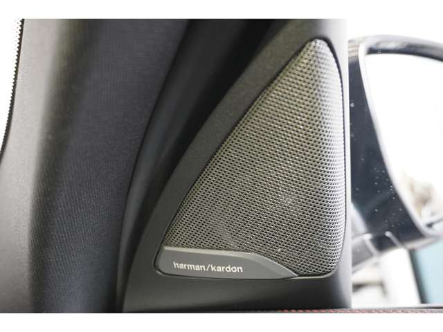 ＢＭＷ Ｘ４ Ｘドライブ２０Ｄ Ｍスポーツ ディーゼルターボ ４ＷＤ R6年 (近畿) 99