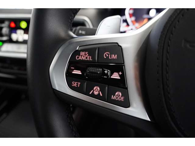 ＢＭＷ Ｘ４ Ｘドライブ２０Ｄ Ｍスポーツ ディーゼルターボ ４ＷＤ R6年 (近畿) 99