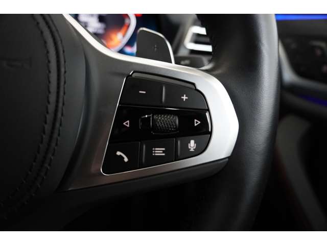 ＢＭＷ Ｘ４ Ｘドライブ２０Ｄ Ｍスポーツ ディーゼルターボ ４ＷＤ R6年 (近畿) 99