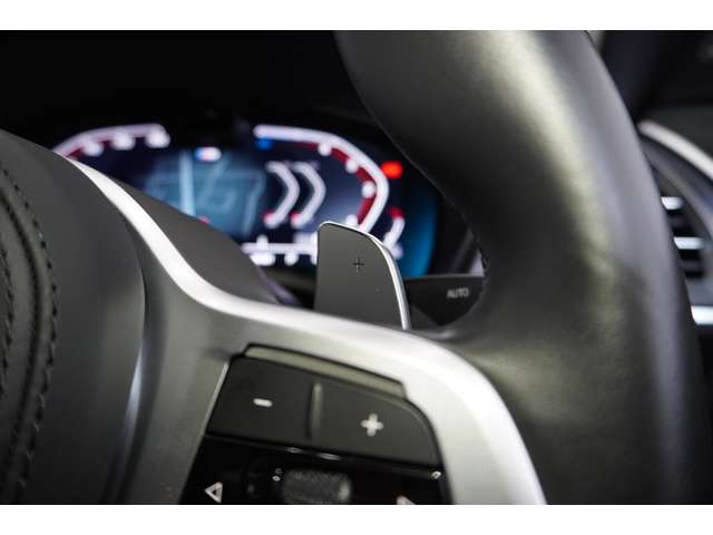 ＢＭＷ Ｘ４ Ｘドライブ２０Ｄ Ｍスポーツ ディーゼルターボ ４ＷＤ R6年 (近畿) 99