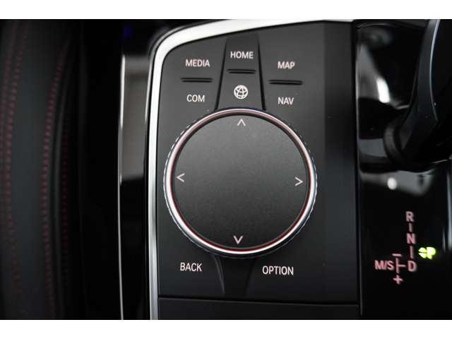 ＢＭＷ Ｘ４ Ｘドライブ２０Ｄ Ｍスポーツ ディーゼルターボ ４ＷＤ R6年 (近畿) 99