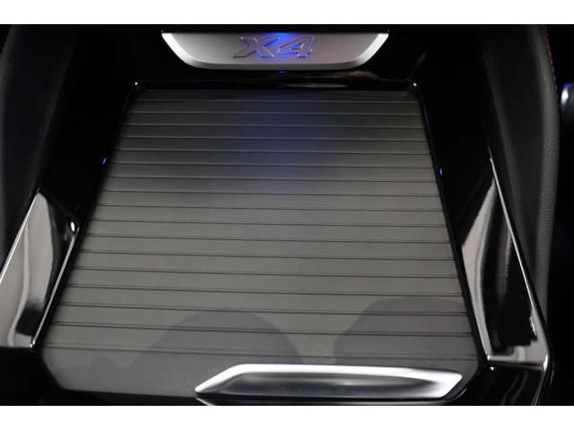 ＢＭＷ Ｘ４ Ｘドライブ２０Ｄ Ｍスポーツ ディーゼルターボ ４ＷＤ R6年 (近畿) 99