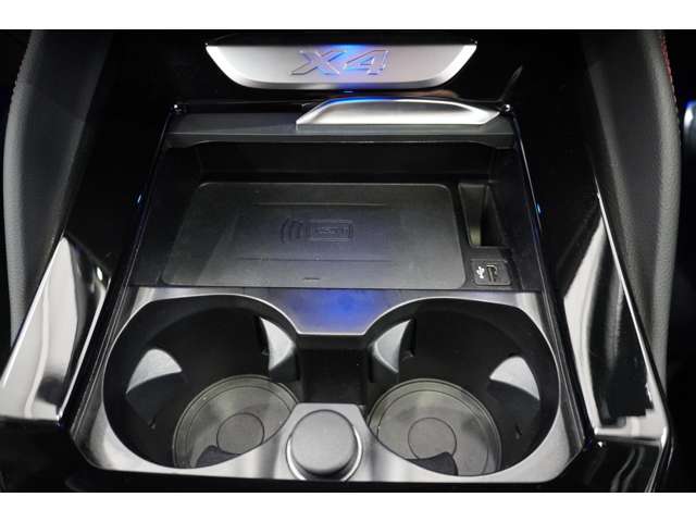 ＢＭＷ Ｘ４ Ｘドライブ２０Ｄ Ｍスポーツ ディーゼルターボ ４ＷＤ R6年 (近畿) 99