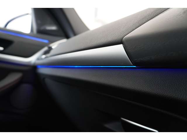 ＢＭＷ Ｘ４ Ｘドライブ２０Ｄ Ｍスポーツ ディーゼルターボ ４ＷＤ R6年 (近畿) 99