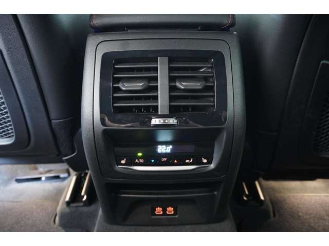 ＢＭＷ Ｘ４ Ｘドライブ２０Ｄ Ｍスポーツ ディーゼルターボ ４ＷＤ R6年 (近畿) 99