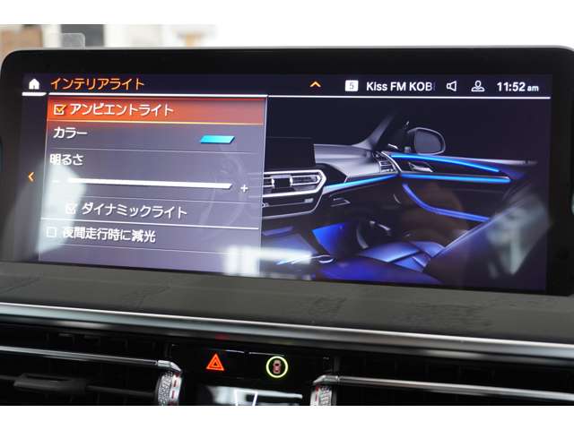 ＢＭＷ Ｘ４ Ｘドライブ２０Ｄ Ｍスポーツ ディーゼルターボ ４ＷＤ R6年 (近畿) 99