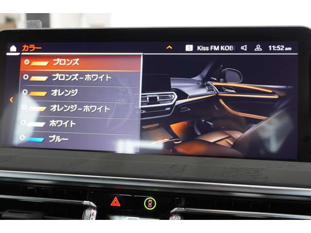 ＢＭＷ Ｘ４ Ｘドライブ２０Ｄ Ｍスポーツ ディーゼルターボ ４ＷＤ R6年 (近畿) 99