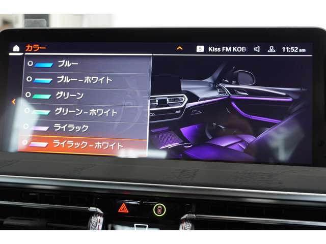 ＢＭＷ Ｘ４ Ｘドライブ２０Ｄ Ｍスポーツ ディーゼルターボ ４ＷＤ R6年 (近畿) 99