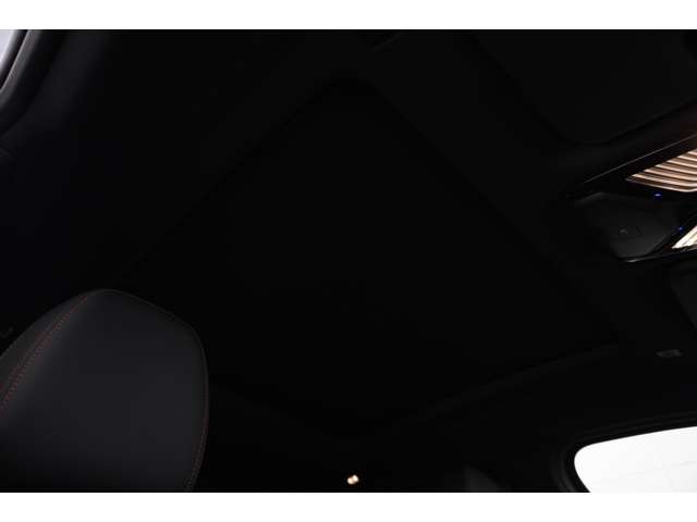 ＢＭＷ Ｘ４ Ｘドライブ２０Ｄ Ｍスポーツ ディーゼルターボ ４ＷＤ R6年 (近畿) 99