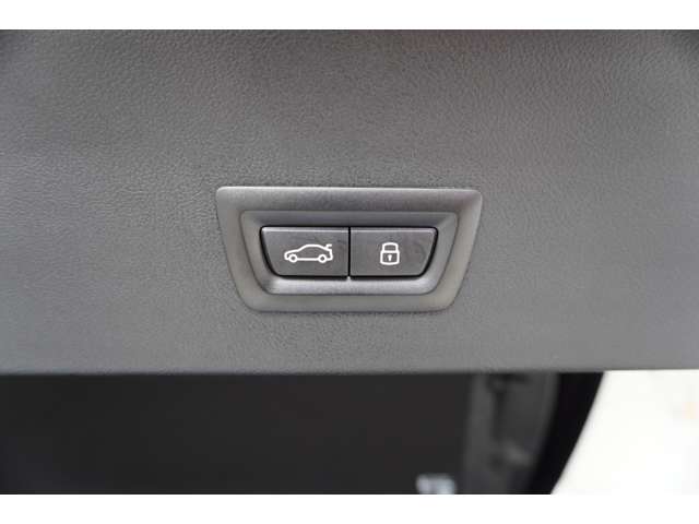 ＢＭＷ Ｘ４ Ｘドライブ２０Ｄ Ｍスポーツ ディーゼルターボ ４ＷＤ R6年 (近畿) 99