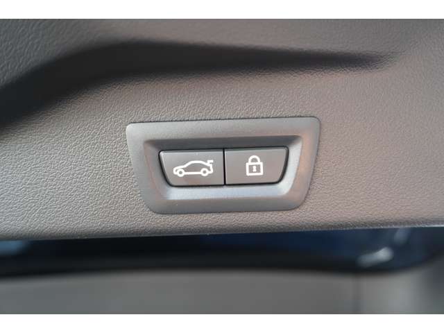 ＢＭＷ Ｘ５ Ｘドライブ ３５Ｄ Ｍスポーツ ４ＷＤ R1年 (近畿) 99