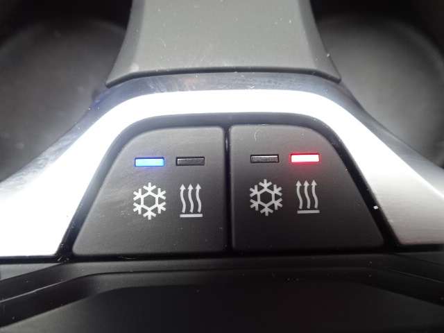 ＢＭＷ Ｘ５　Ｍ コンペティション ４ＷＤ R3年 (近畿) 99