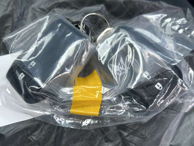 スズキ ハスラー ６６０ ハイブリッド Ｘ ４ＷＤ R6年 () 99