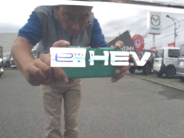 ホンダ フリード　ハイブリッド １．５ Ｅ：ＨＥＶ クロスター R6年 (九州・沖縄) 99