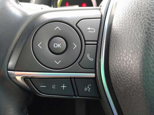 トヨタ カムリ ２．５ ＷＳ レザーパッケージ R1年 (九州・沖縄) 99