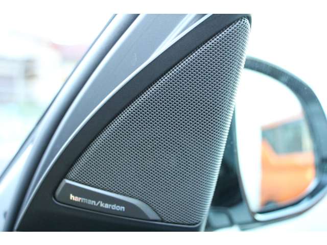 ＢＭＷ Ｘ３　Ｍ コンペティション ４ＷＤ R2年 (関東) 99