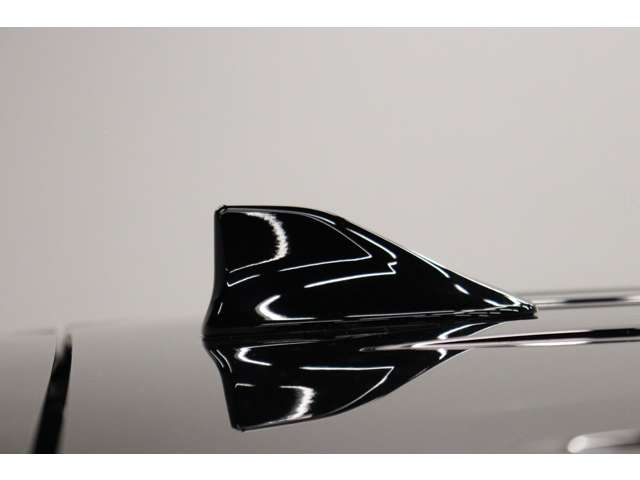 トヨタ アルファード ２．５ Ｓ Ｃパッケージ R4年 (東海) 99