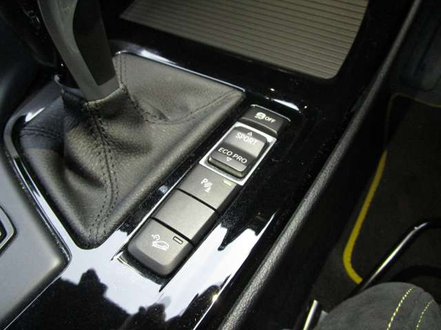 ＢＭＷ Ｘ２ Ｘドライブ２０Ｉ ＭスポーツＸ ４ＷＤ H30年 (近畿) 99