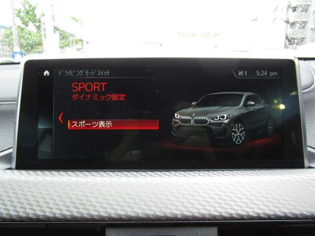 ＢＭＷ Ｘ２ Ｘドライブ２０Ｉ ＭスポーツＸ ４ＷＤ H30年 (近畿) 99