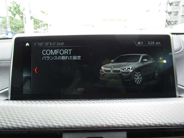 ＢＭＷ Ｘ２ Ｘドライブ２０Ｉ ＭスポーツＸ ４ＷＤ H30年 (近畿) 99