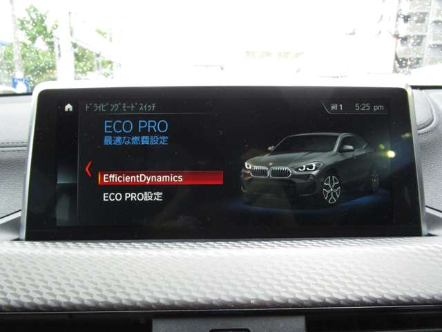 ＢＭＷ Ｘ２ Ｘドライブ２０Ｉ ＭスポーツＸ ４ＷＤ H30年 (近畿) 99