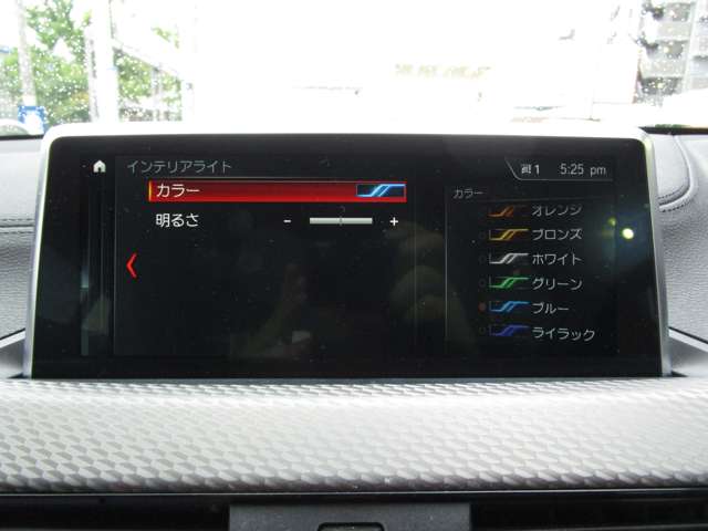 ＢＭＷ Ｘ２ Ｘドライブ２０Ｉ ＭスポーツＸ ４ＷＤ H30年 (近畿) 99