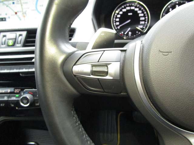 ＢＭＷ Ｘ２ Ｘドライブ２０Ｉ ＭスポーツＸ ４ＷＤ H30年 (近畿) 99