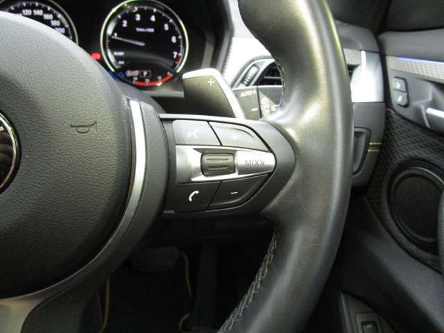 ＢＭＷ Ｘ２ Ｘドライブ２０Ｉ ＭスポーツＸ ４ＷＤ H30年 (近畿) 99