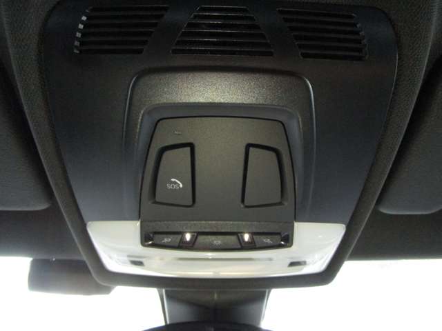 ＢＭＷ Ｘ２ Ｘドライブ２０Ｉ ＭスポーツＸ ４ＷＤ H30年 (近畿) 99