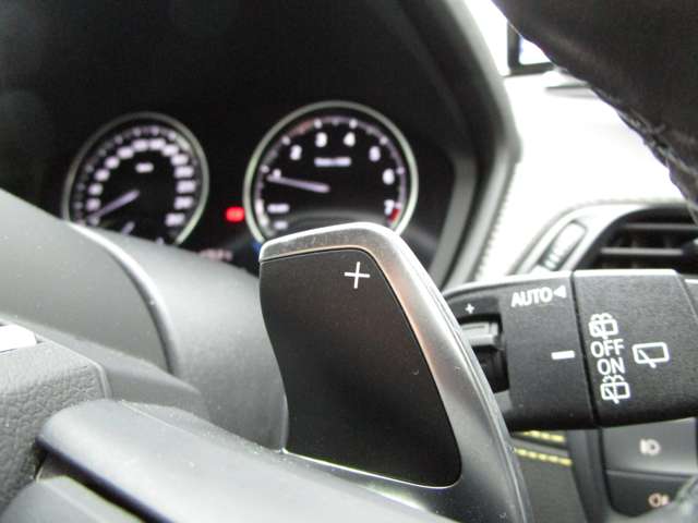 ＢＭＷ Ｘ２ Ｘドライブ２０Ｉ ＭスポーツＸ ４ＷＤ H30年 (近畿) 99