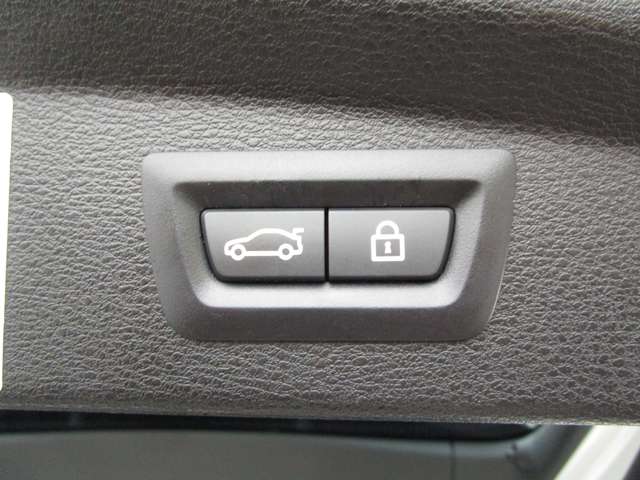 ＢＭＷ Ｘ２ Ｘドライブ２０Ｉ ＭスポーツＸ ４ＷＤ H30年 (近畿) 99