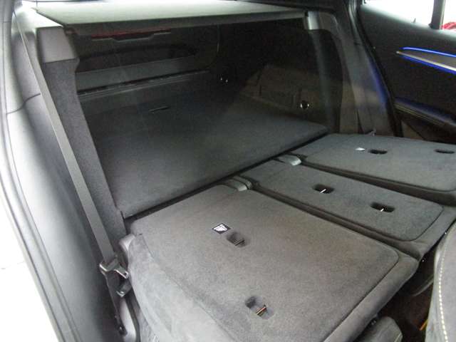 ＢＭＷ Ｘ２ Ｘドライブ２０Ｉ ＭスポーツＸ ４ＷＤ H30年 (近畿) 99