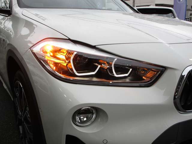 ＢＭＷ Ｘ２ Ｘドライブ２０Ｉ ＭスポーツＸ ４ＷＤ H30年 (近畿) 99