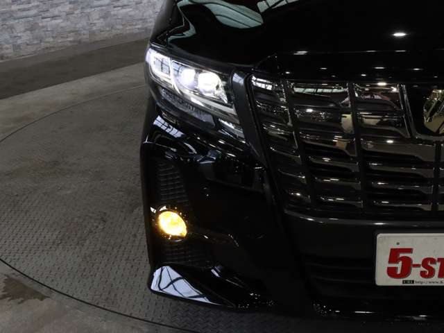 トヨタ アルファード ２．５ Ｓ Ａパッケージ タイプ ブラック H28年 (関東) 99