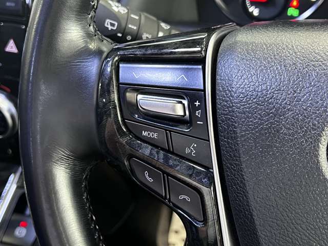 トヨタ アルファード ２．５ Ｓ Ａパッケージ タイプ ブラック H28年 (関東) 99