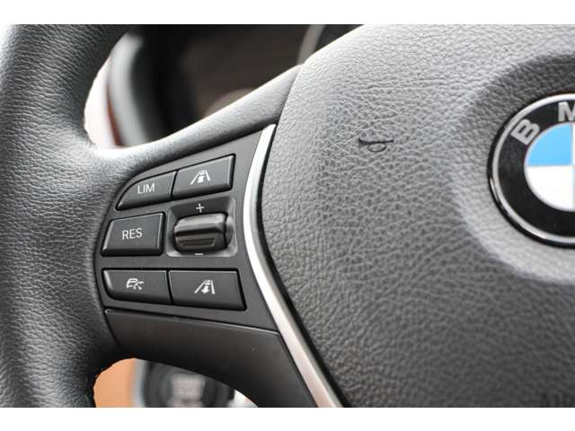 ＢＭＷ ３シリーズ ３２０ｉ　ラグジュアリー H30年 (関東) 99