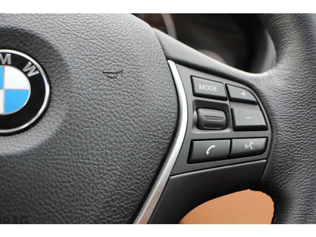 ＢＭＷ ３シリーズ ３２０ｉ　ラグジュアリー H30年 (関東) 99