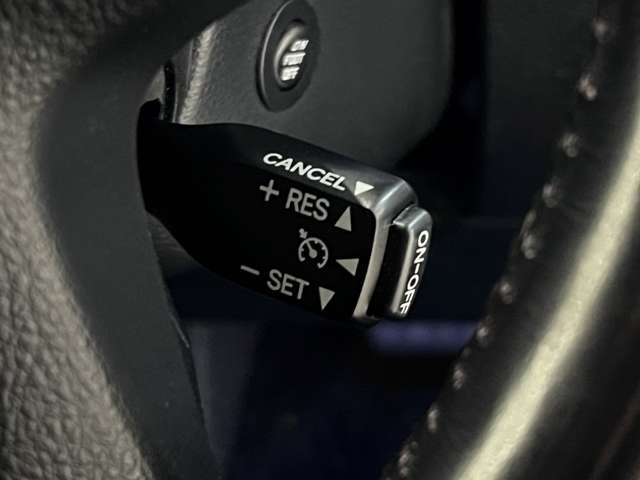 トヨタ ヴェルファイア ３．５ ＺＡ Ｇエディション H29年 (関東) 99